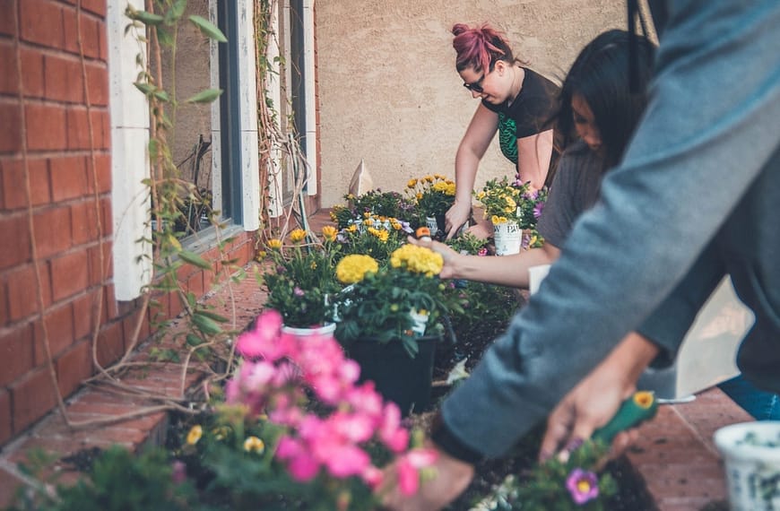 Image: Individuals tending to flowers in a community planter.
