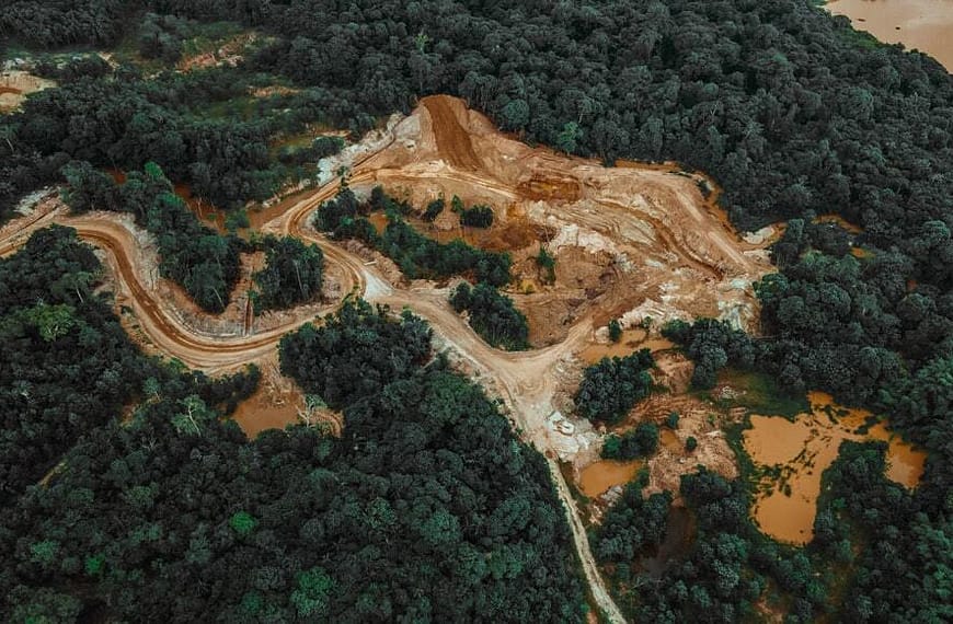 Image: The rainforest from above with a river running through it. Deforestation evident.
