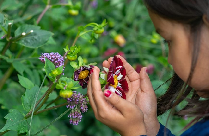 Image: A young girl cupping a flower in her hands. The flower sits among many other kinds of plants, displaying the biodiversity in her backyard.