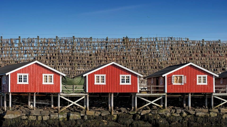 Image: Town with cod hanging to dry in the behind houses