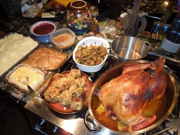 Image: Thanksgiving Turkey with the Fiddlehead Doctors