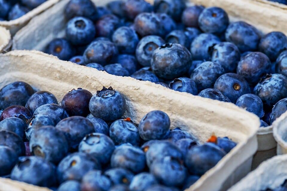 Image: Baskets of blueberries