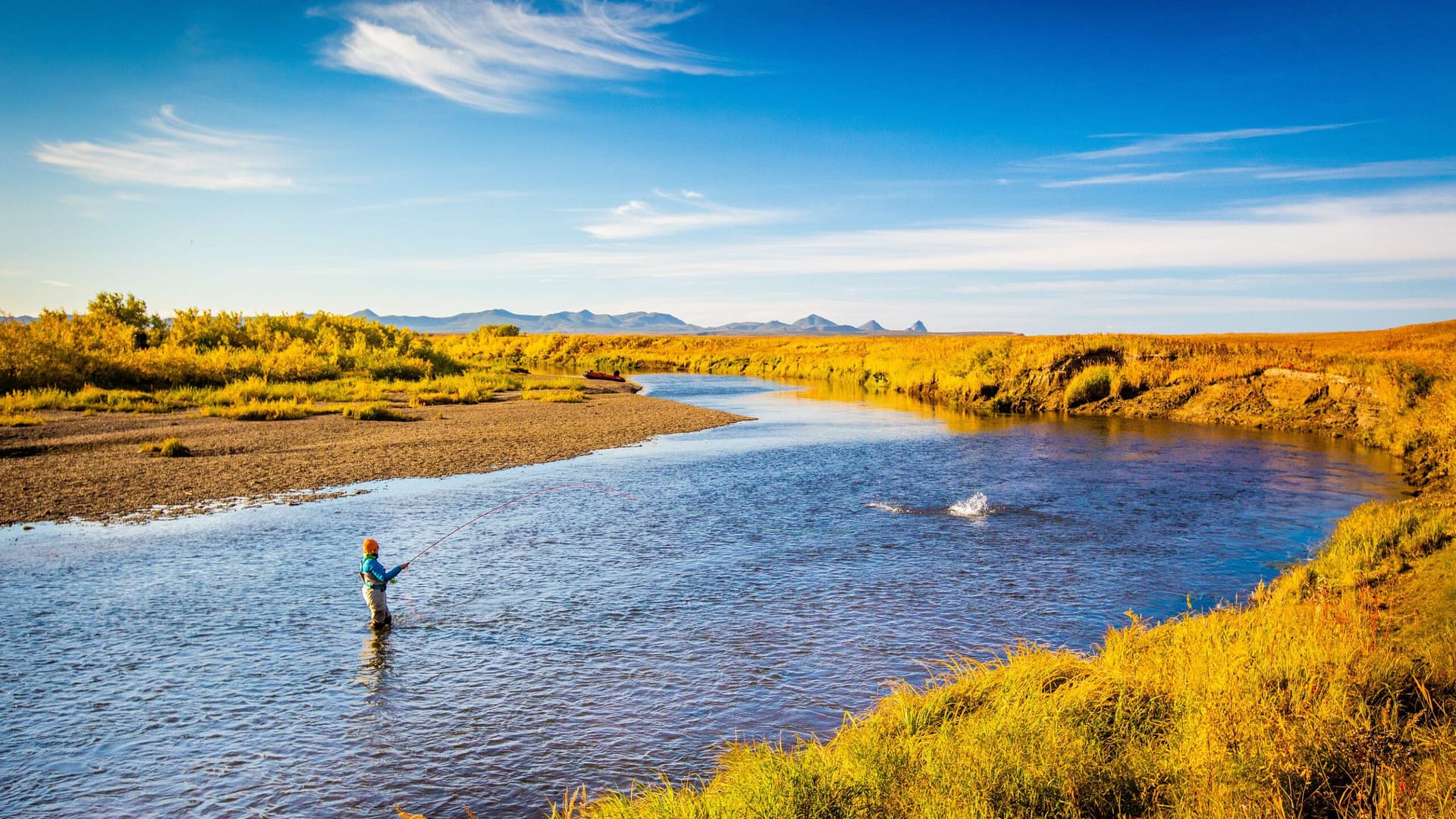 Image: Person fly fishing for steelhead in a river. Looks like they got a bite! 