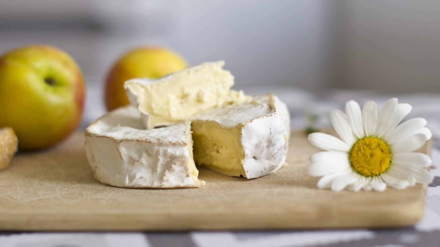 Image: Cheese with a daisy