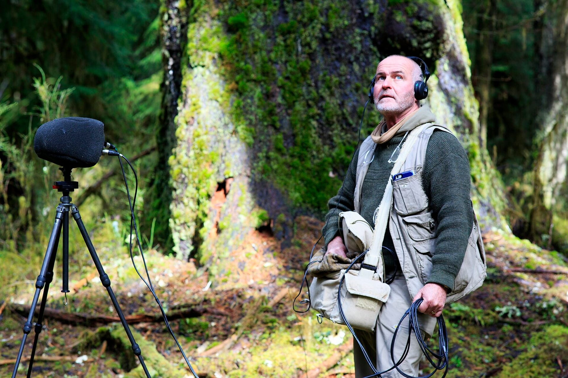 Image: Gordon Hempton staring off into the Hoh Rainforest wearing headphones with a recording apparatus in front of him