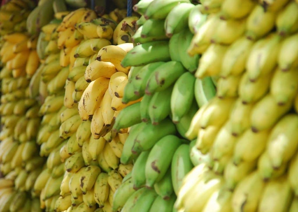 Image: ripe bananas