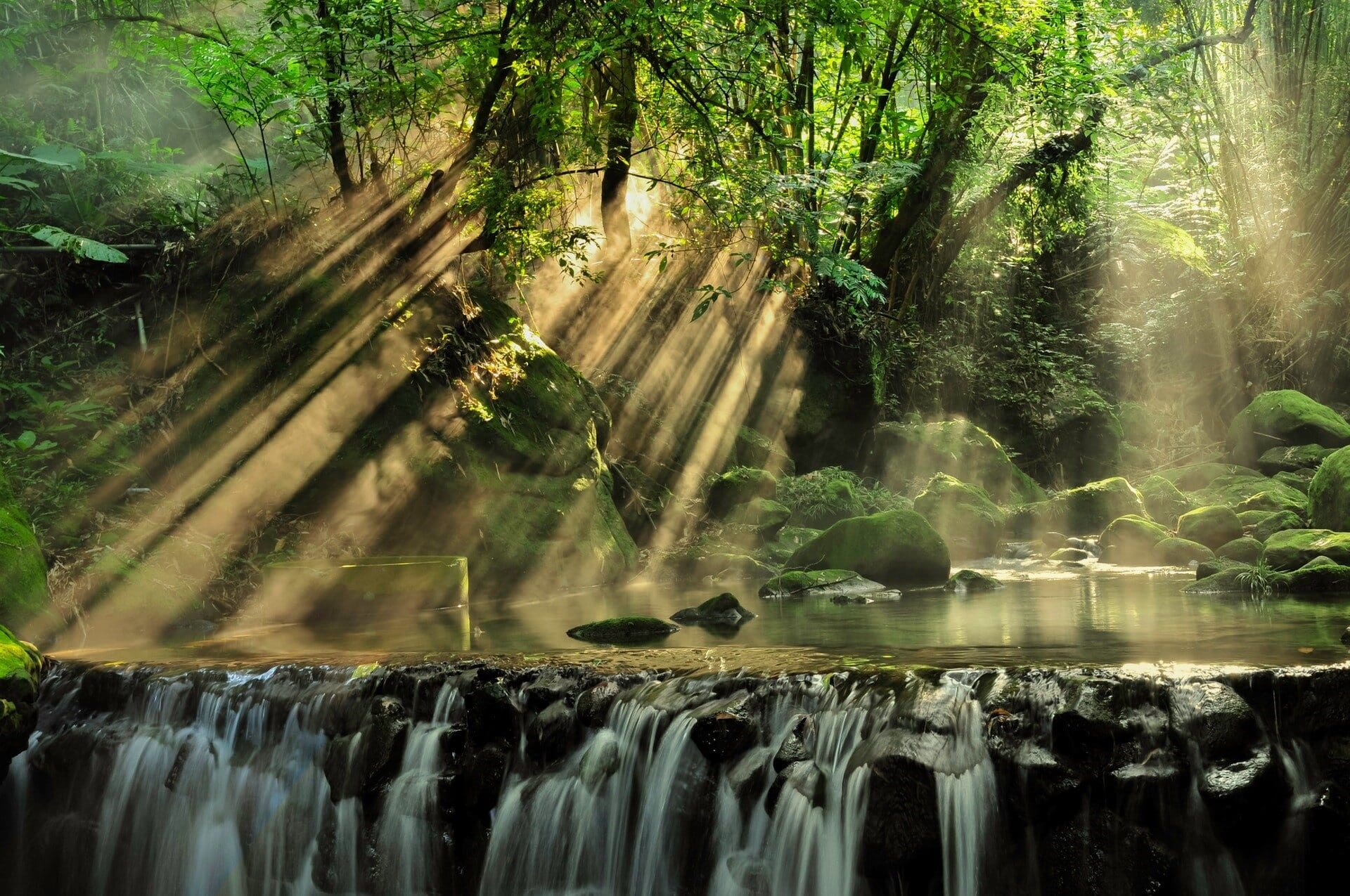 Image: Light streaming through the rainforest canopy to a waterfall