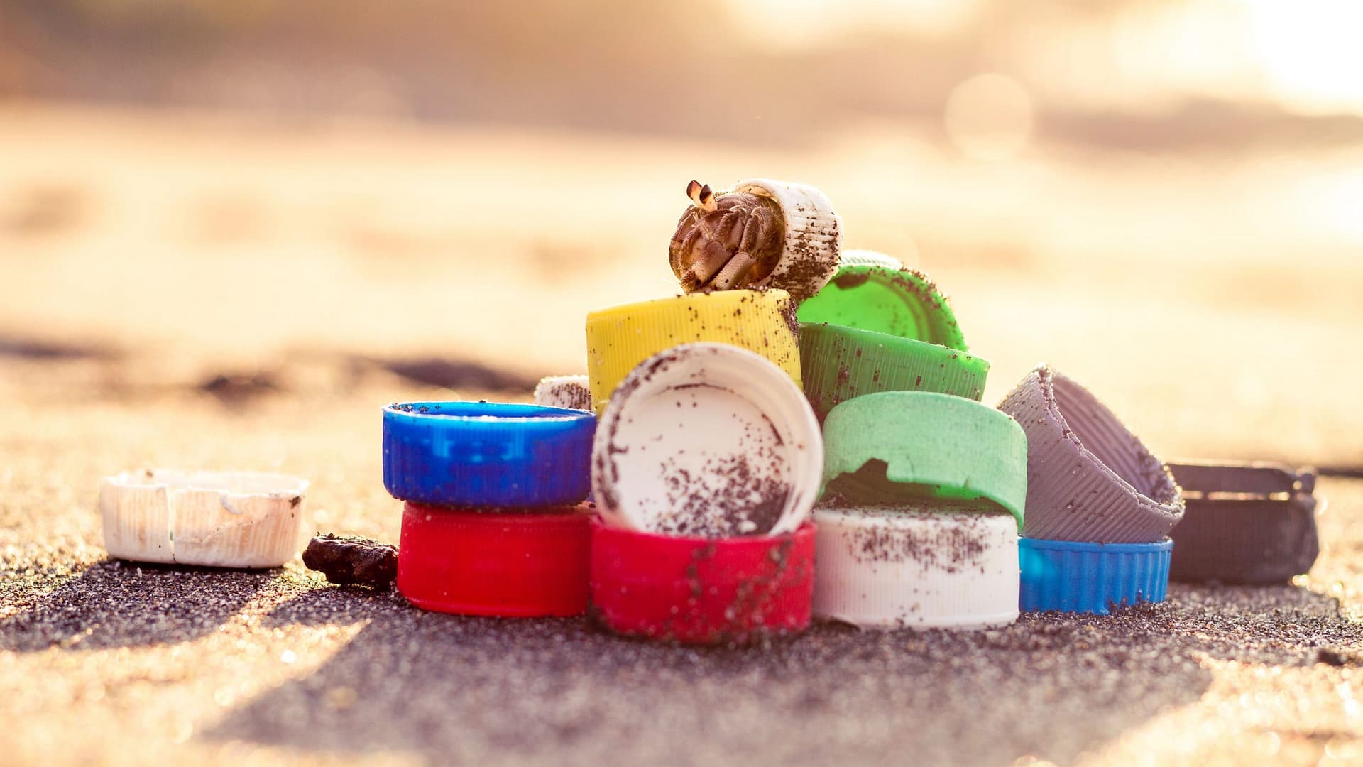 Image: hermit crab on a colorful pile of bottle caps, eat plastic