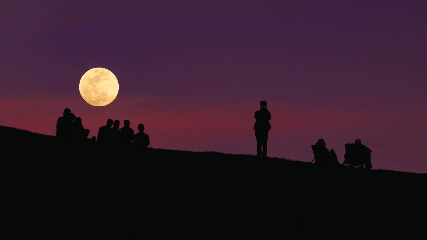Image: people looking up at the moon