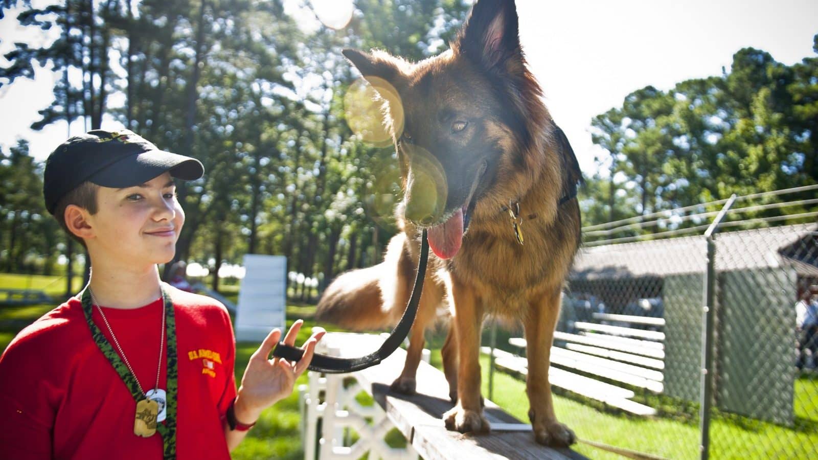 Image: a boy and his seizure response dog train together