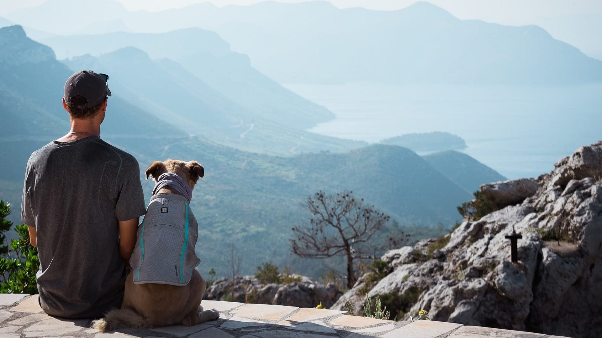 Image: Tom Turcich and his dog Savannah on their walk around the world