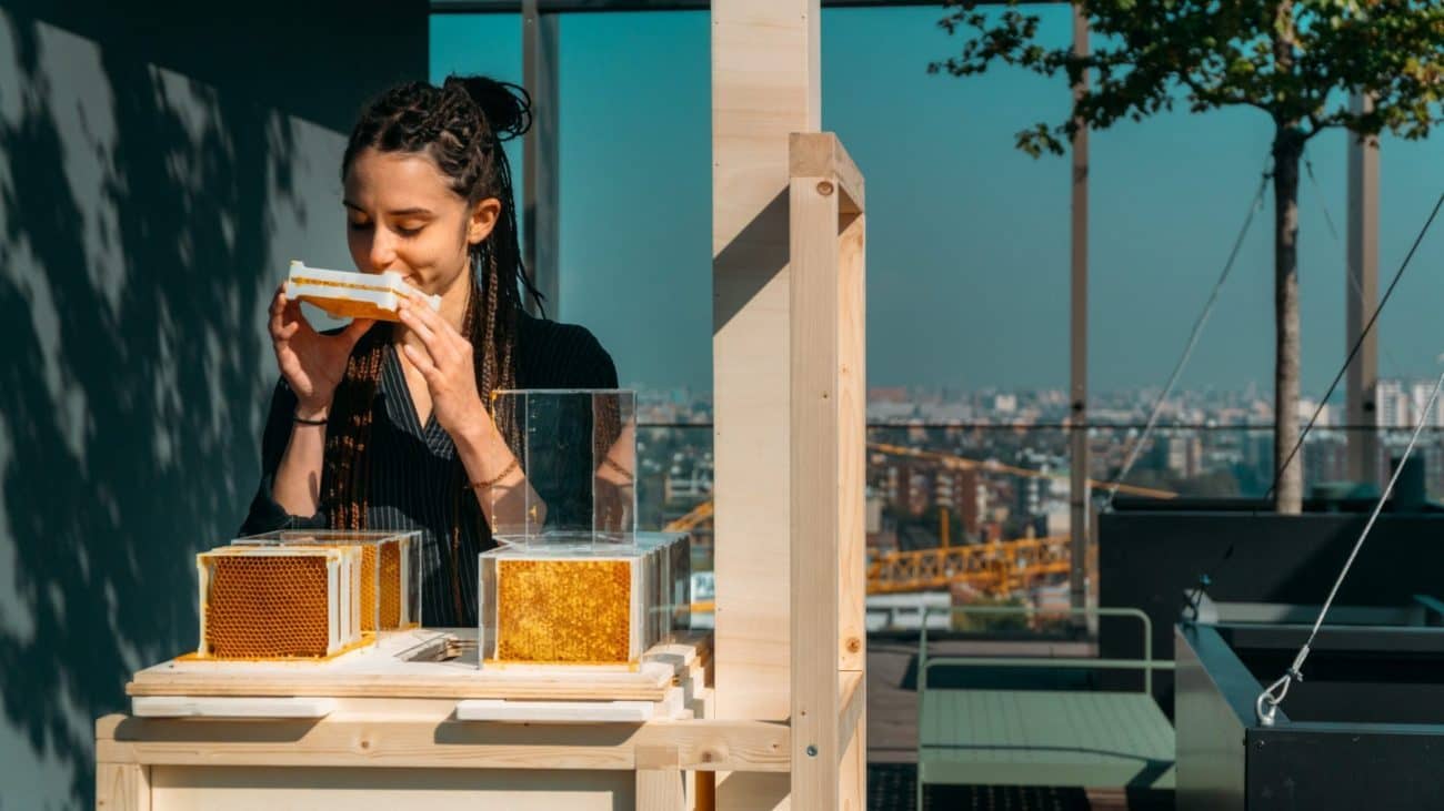 Image: Woman in black long sleeves sniffing honey from an urban beehive