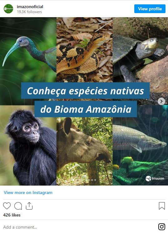 Image: An Instagram post about the Amazon Rainforest from Imazon