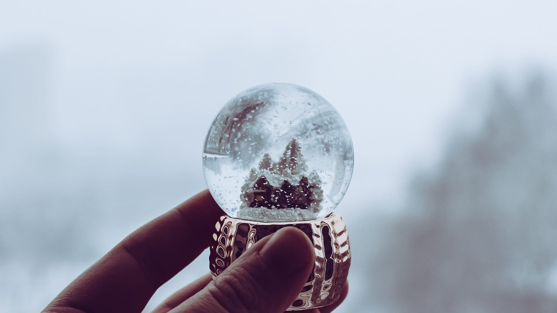 Image: A person holding a snow globe