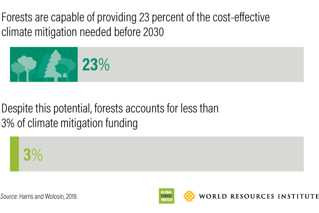 Image: a graphic representation of how important it is to stop deforestabion