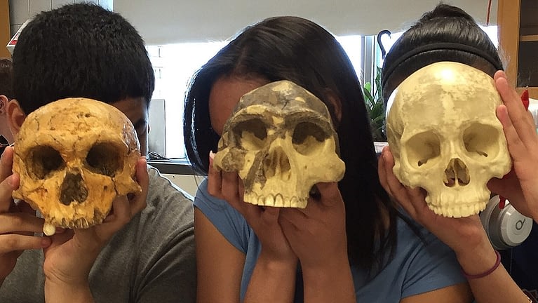 Image: three students holding up three skulls from the evolution of humans, right in front of their own heads