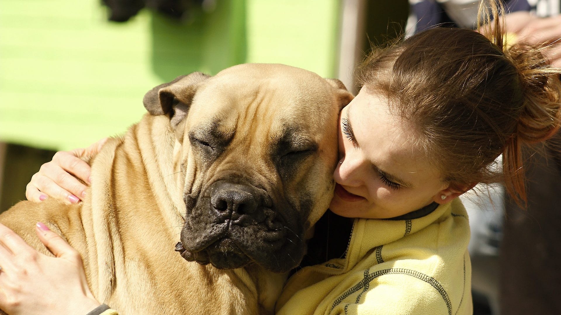 Image: Woman hugs large dog with a smile on his face like the dogs that are being trained to smell cancer