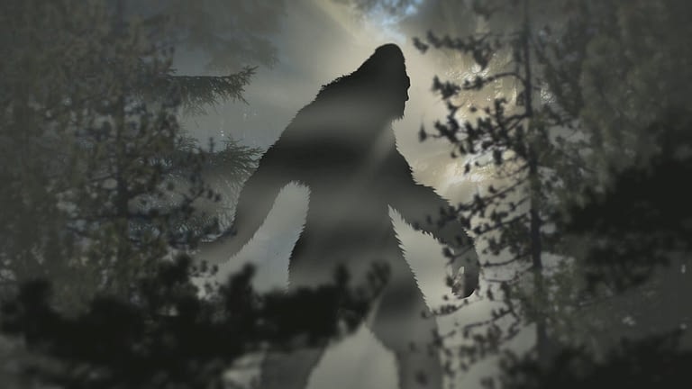 Image: silhouette of bigfoot