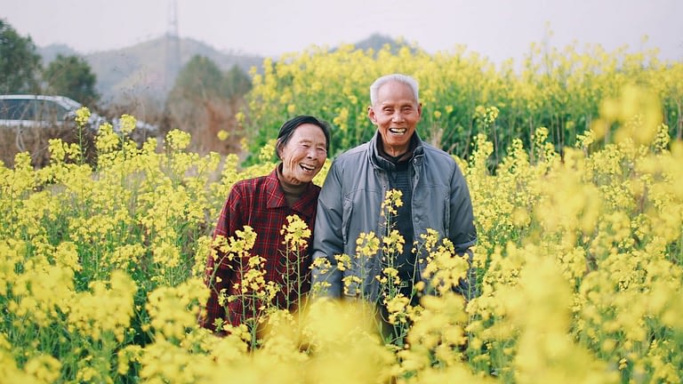 Image: A senior couple standing in a field of yellow flowers, smiling at the camera.