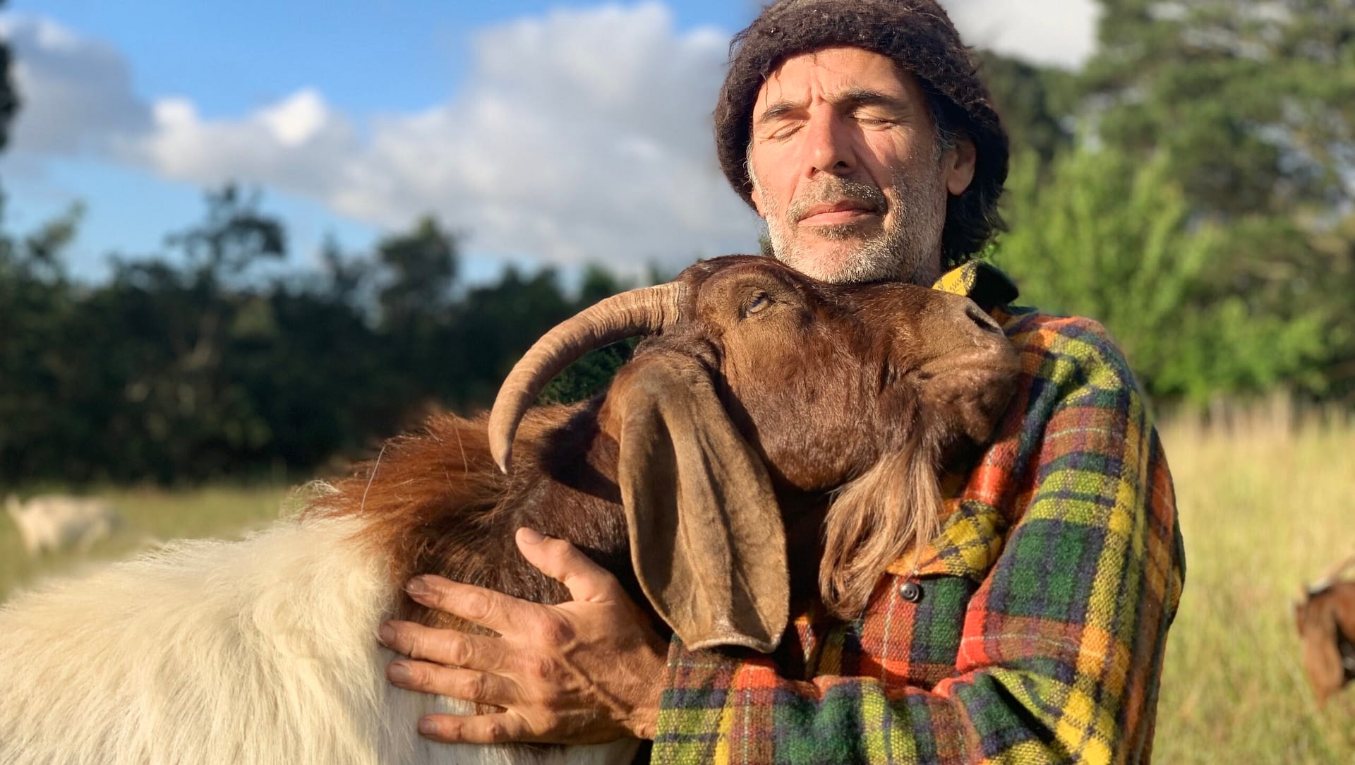 Image: Person hugging goat