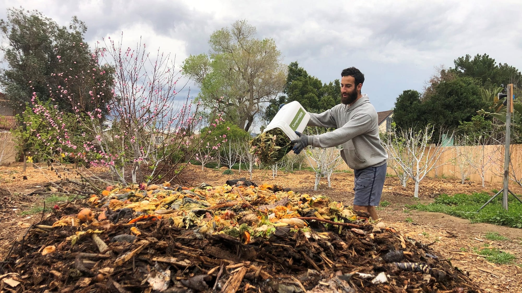 Image: Person throwing food waste onto a compost pile