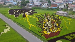 Image: A rice paddy mural in Inakadate, depicting Buddhist diety Acala surrounded by clouds and lightning