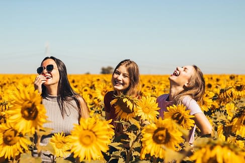 Image: Three women laughing in a field of sunflowers