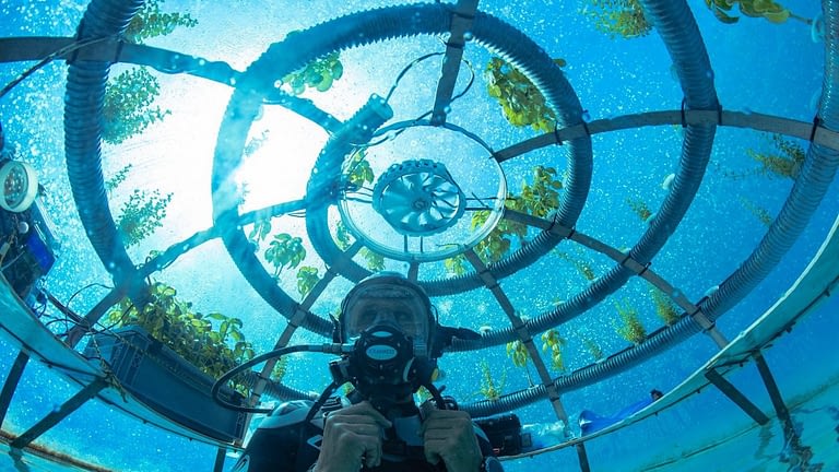 Image: Underwater Farm