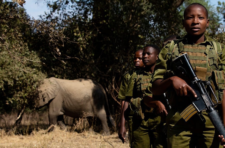 Single Mothers are Saving Africa’s Endangered Wildlife