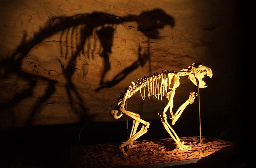 What Was It like to Live with Australia’s Strangest Ancient Creatures?