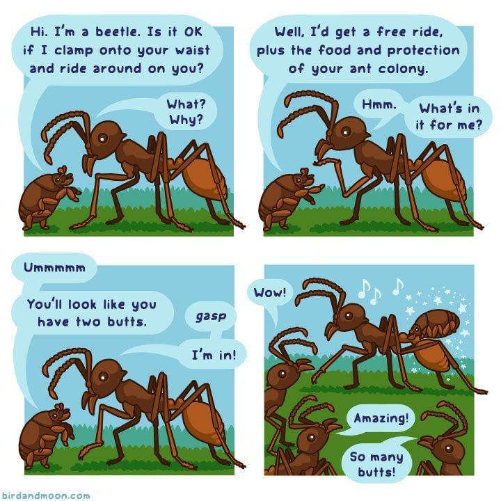 Image: comic about army ants