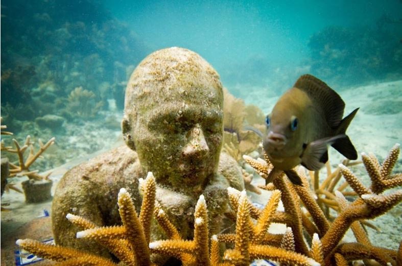Image: fish next to submerged statue