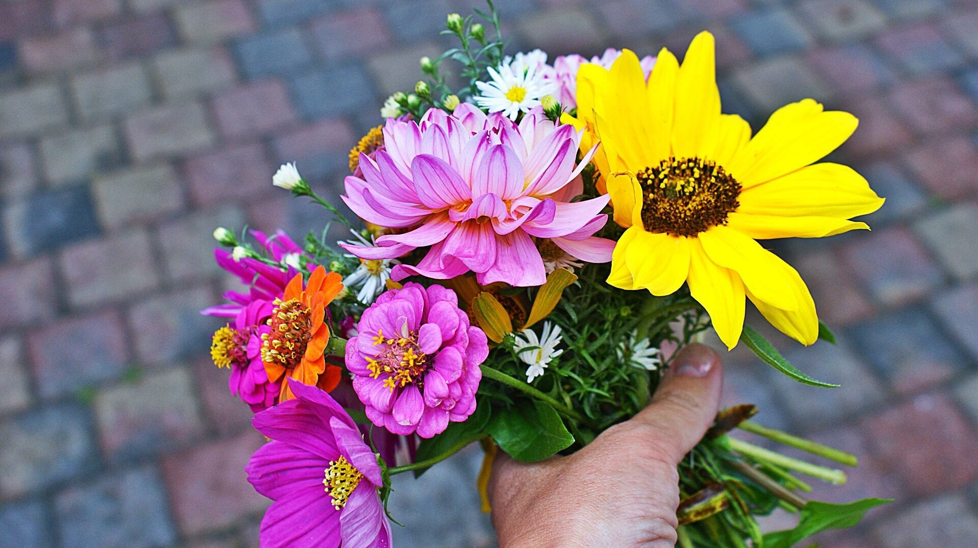 Image: Person holding flowers